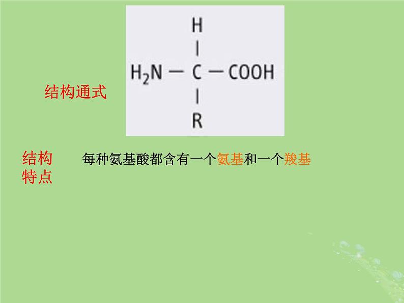 2024年同步备课高中生物1.3细胞中的蛋白质和核酸2课件苏教版必修1第5页