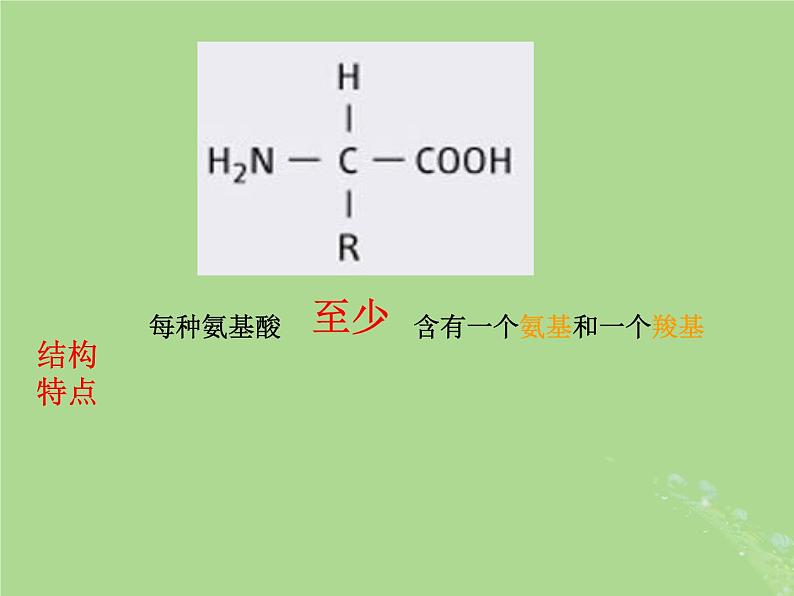 2024年同步备课高中生物1.3细胞中的蛋白质和核酸2课件苏教版必修1第7页