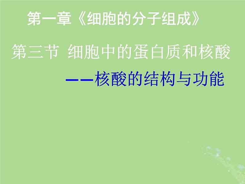 2024年同步备课高中生物1.3细胞中的蛋白质和核酸课件苏教版必修1第1页