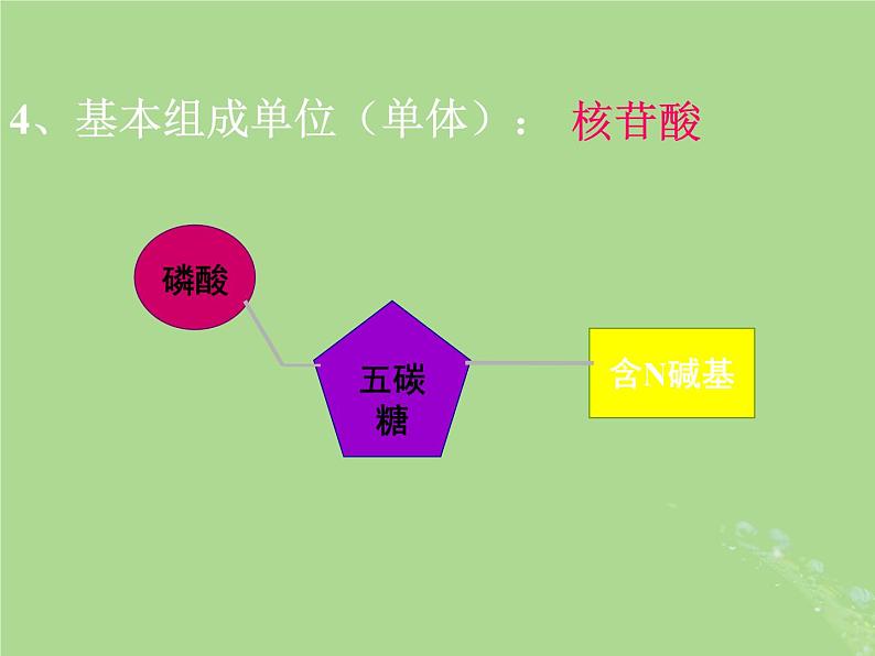 2024年同步备课高中生物1.3细胞中的蛋白质和核酸课件苏教版必修1第3页