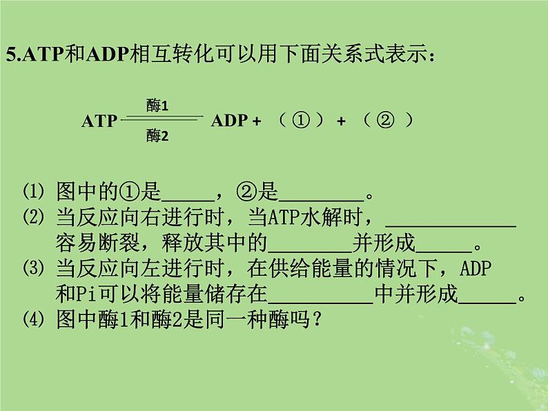 2024年同步备课高中生物3.1生命活动需要酶和能源物质第1课时课件苏教版必修1第6页