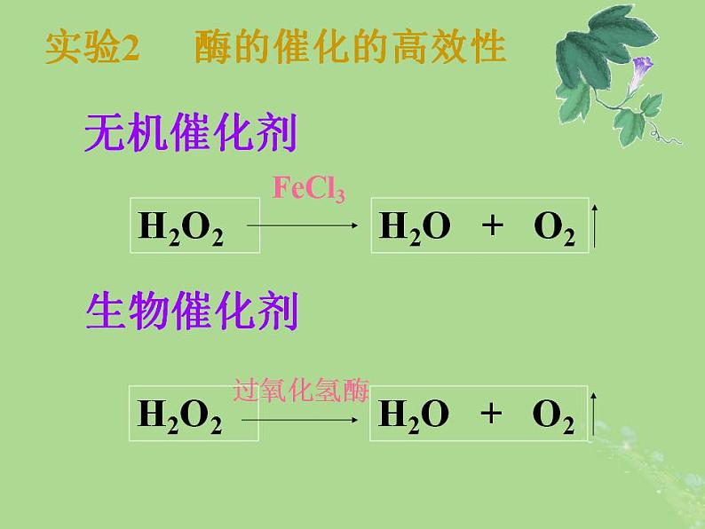 2024年同步备课高中生物3.1生命活动需要酶和能源物质第2课时课件苏教版必修1第8页