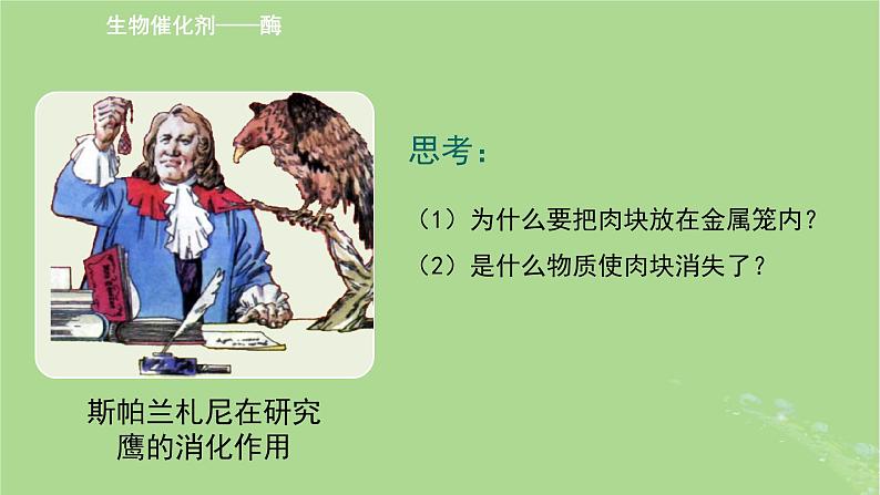 2024年同步备课高中生物3.1生命活动需要酶和能源物质课件苏教版必修104