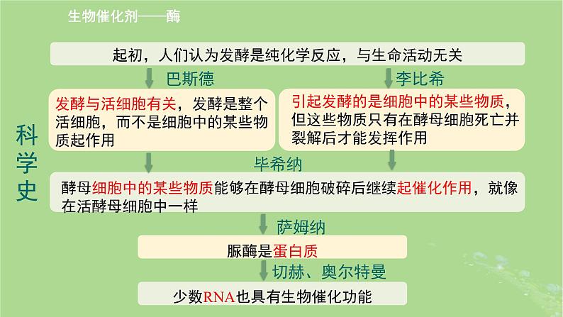 2024年同步备课高中生物3.1生命活动需要酶和能源物质课件苏教版必修105