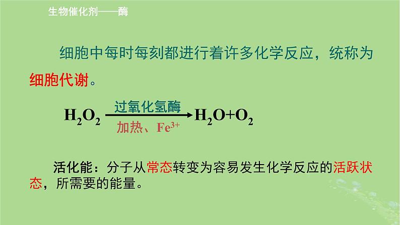 2024年同步备课高中生物3.1生命活动需要酶和能源物质课件苏教版必修107