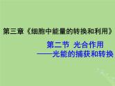 2024年同步备课高中生物3.2光合作用__光能的捕获和转换课件苏教版必修1