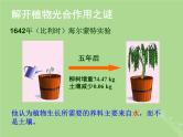 2024年同步备课高中生物3.2光合作用__光能的捕获和转换课件苏教版必修1
