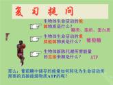 2024年同步备课高中生物3.3细胞呼吸__能量的转化和利用课件苏教版必修1