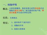 2024年同步备课高中生物3.3细胞呼吸__能量的转化和利用课件苏教版必修1