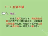 2024年同步备课高中生物3.3细胞呼吸__能量的转化和利用课件苏教版必修1