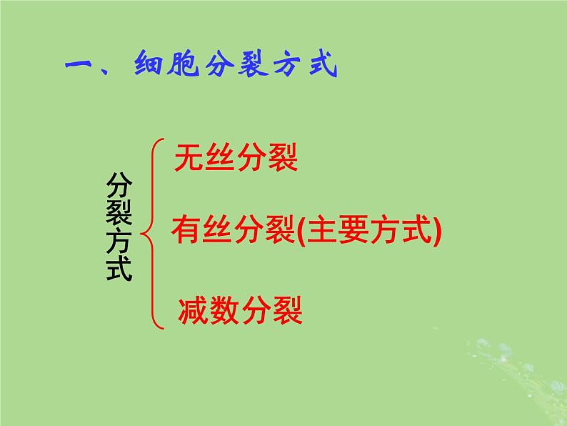 2024年同步备课高中生物4.1细胞增殖1课件苏教版必修103