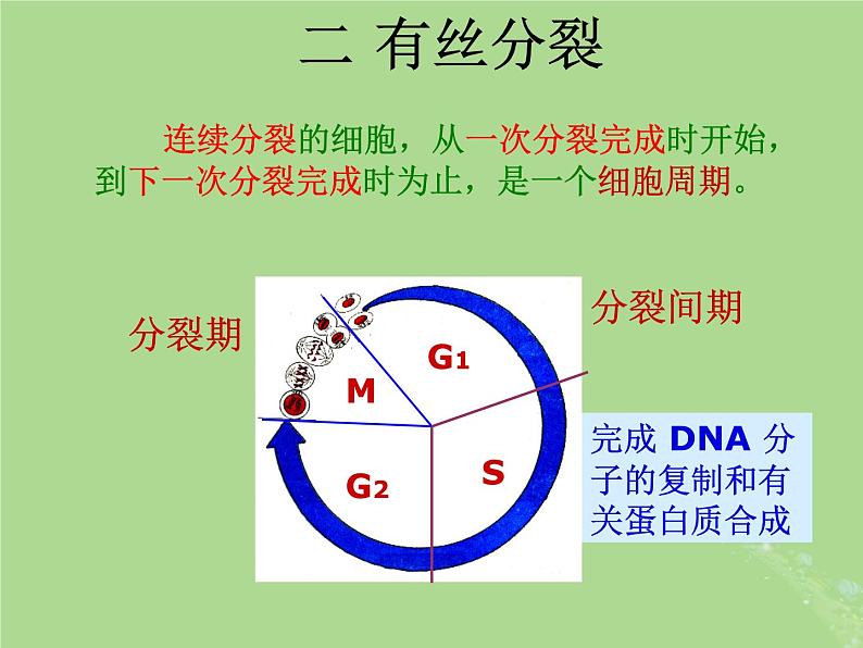 2024年同步备课高中生物4.1细胞增殖1课件苏教版必修104