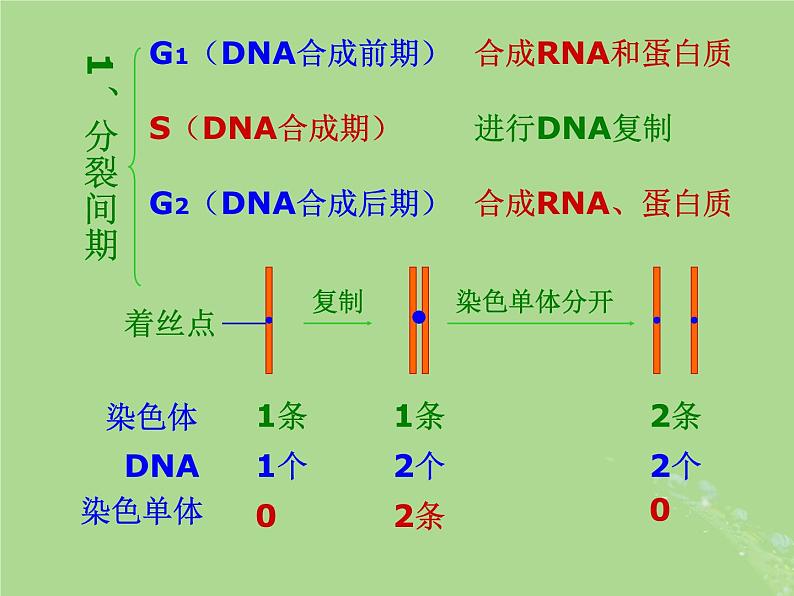 2024年同步备课高中生物4.1细胞增殖1课件苏教版必修106