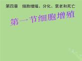 2024年同步备课高中生物4.1细胞增殖2课件苏教版必修1