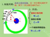 2024年同步备课高中生物4.1细胞增殖2课件苏教版必修1