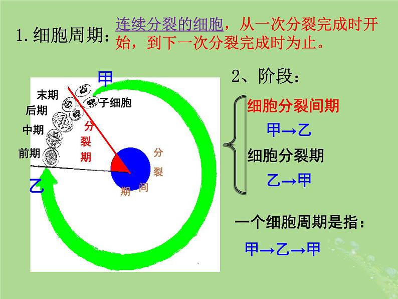 2024年同步备课高中生物4.1细胞增殖2课件苏教版必修104
