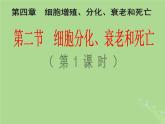 2024年同步备课高中生物4.2细胞分化衰老和死亡第1课时课件苏教版必修1