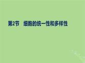 2024年同步备课高中生物1.2细胞的多样性和统一性课件新人教版必修1