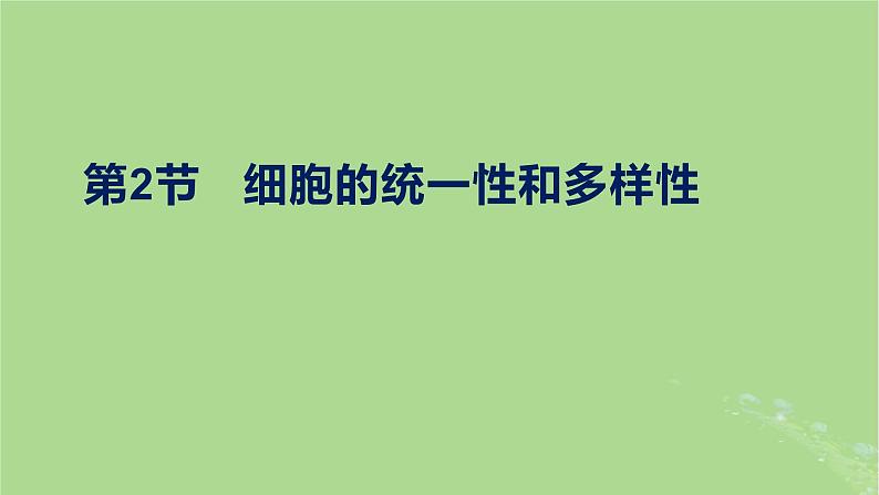 2024年同步备课高中生物1.2细胞的多样性和统一性课件新人教版必修101