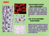 2024年同步备课高中生物1.2细胞的多样性和统一性课件新人教版必修1