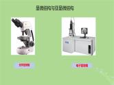 2024年同步备课高中生物1.2细胞的多样性和统一性课件新人教版必修1