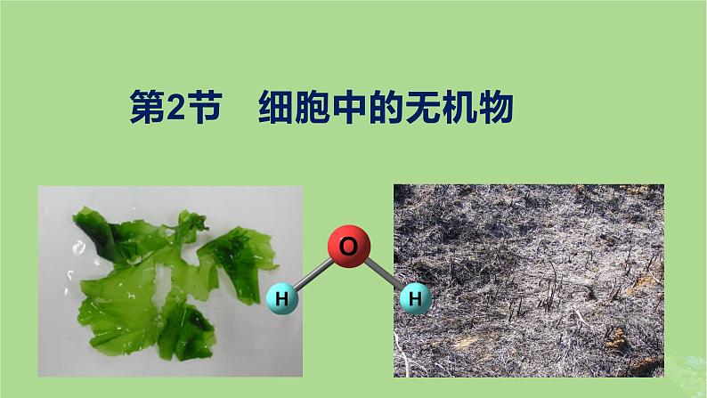 2024年同步备课高中生物2.2细胞中的无机物课件新人教版必修101