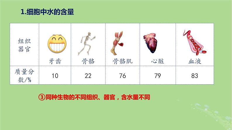 2024年同步备课高中生物2.2细胞中的无机物课件新人教版必修105