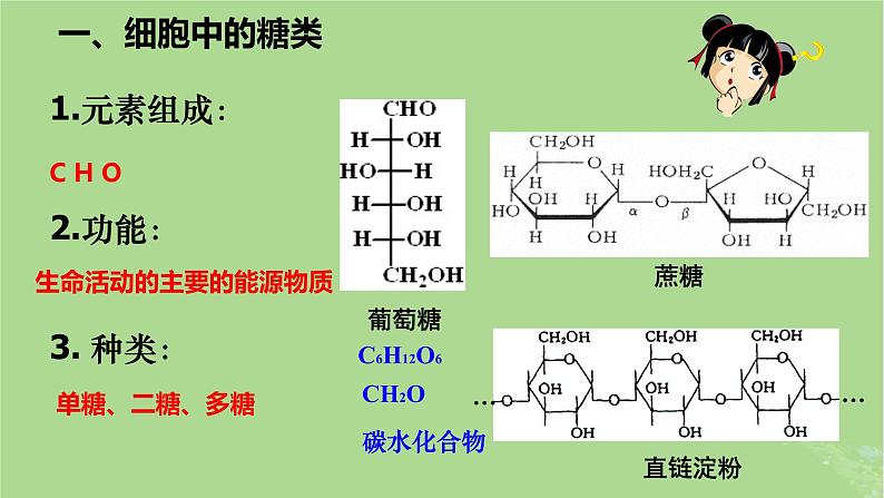 2024年同步备课高中生物2.3细胞中的糖类和脂质课件新人教版必修104