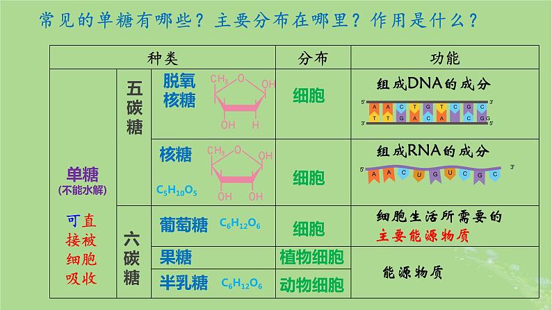 2024年同步备课高中生物2.3细胞中的糖类和脂质课件新人教版必修107