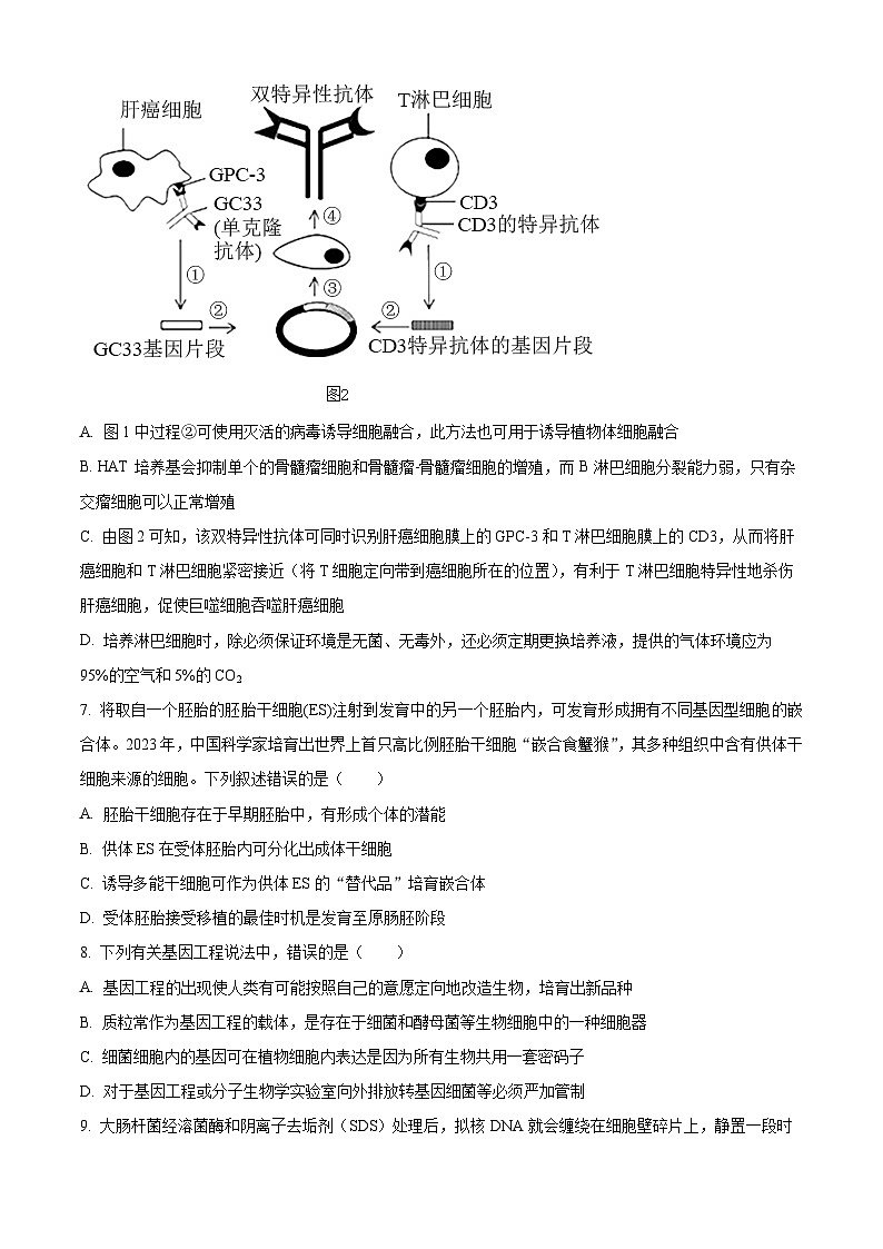 江西省南昌市第一中学2023-2024学年高二下学期4月期中生物试题（Word版附答案）03