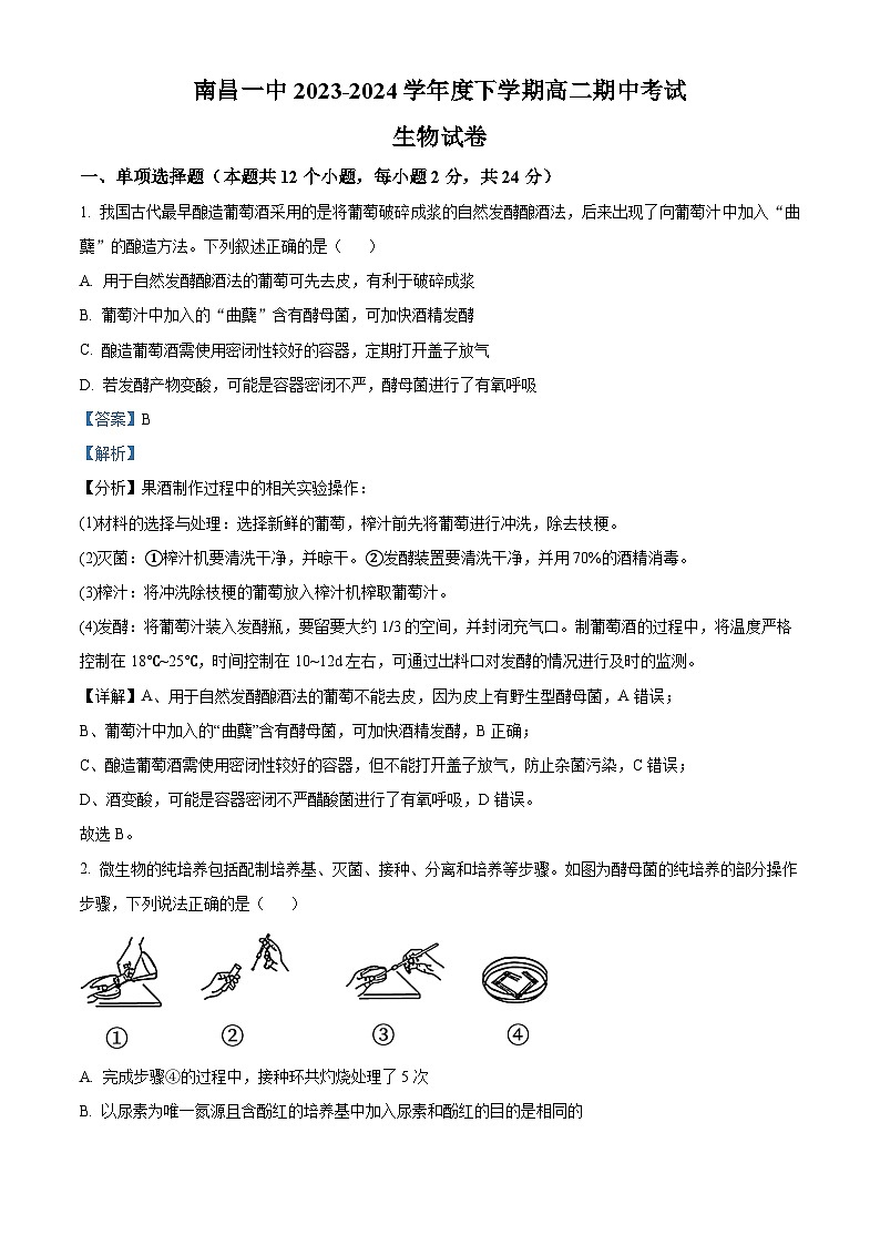 江西省南昌市第一中学2023-2024学年高二下学期4月期中生物试题（Word版附答案）01