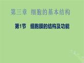 2024年同步备课高中生物3.1细胞膜的结构和功能课件新人教版必修1