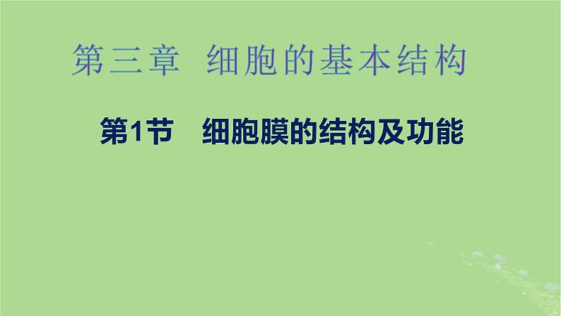 2024年同步备课高中生物3.1细胞膜的结构和功能课件新人教版必修101