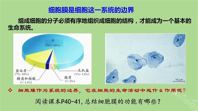 2024年同步备课高中生物3.1细胞膜的结构和功能课件新人教版必修102