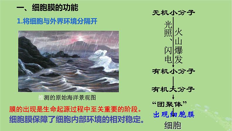 2024年同步备课高中生物3.1细胞膜的结构和功能课件新人教版必修103