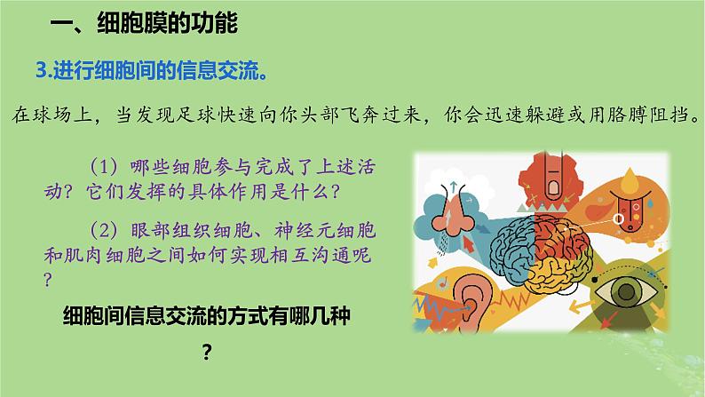 2024年同步备课高中生物3.1细胞膜的结构和功能课件新人教版必修105