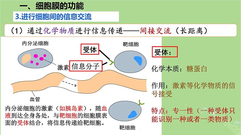 2024年同步备课高中生物3.1细胞膜的结构和功能课件新人教版必修106