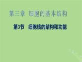 2024年同步备课高中生物3.3细胞核的结构和功能课件新人教版必修1