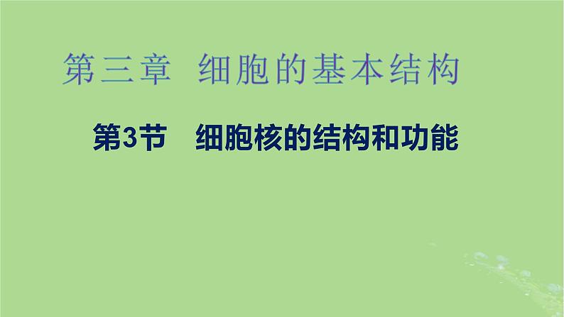 2024年同步备课高中生物3.3细胞核的结构和功能课件新人教版必修101