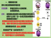 2024年同步备课高中生物3.3细胞核的结构和功能课件新人教版必修1
