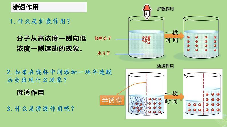 2024年同步备课高中生物4.1被动运输课件新人教版必修104