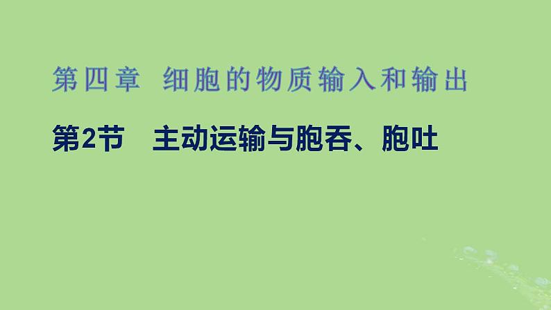 2024年同步备课高中生物4.2主动运输与胞吞胞吐课件新人教版必修101