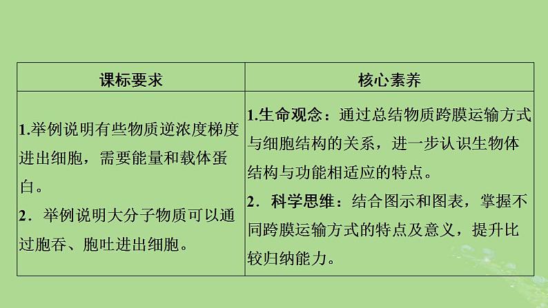 2024年同步备课高中生物4.2主动运输与胞吞胞吐课件新人教版必修102