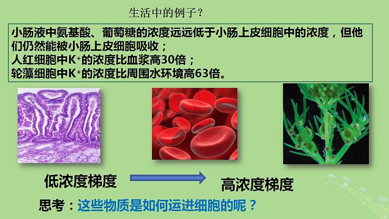 2024年同步备课高中生物4.2主动运输与胞吞胞吐课件新人教版必修105