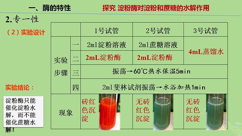 2024年同步备课高中生物5.1降低化学反应活化能的酶第2课时课件新人教版必修1第7页