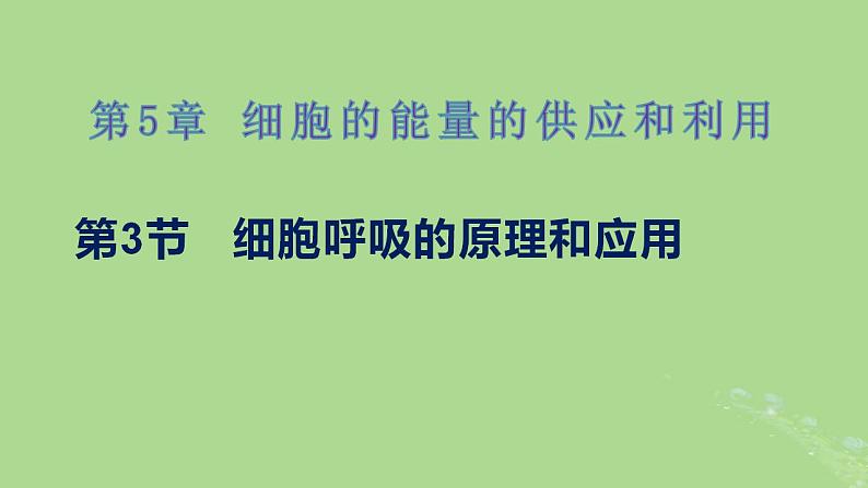 2024年同步备课高中生物5.3细胞呼吸的原理和应用课件新人教版必修101