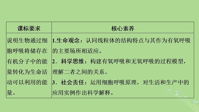 2024年同步备课高中生物5.3细胞呼吸的原理和应用课件新人教版必修102