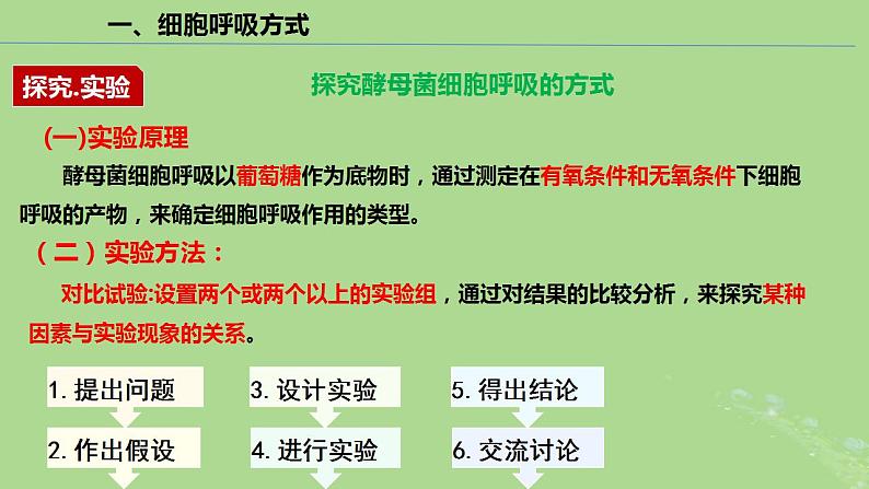 2024年同步备课高中生物5.3细胞呼吸的原理和应用课件新人教版必修106