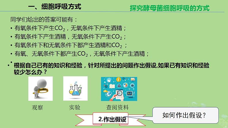 2024年同步备课高中生物5.3细胞呼吸的原理和应用课件新人教版必修107