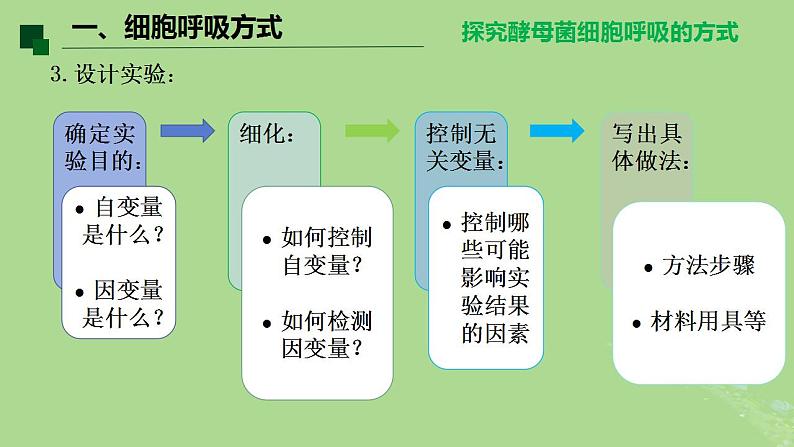 2024年同步备课高中生物5.3细胞呼吸的原理和应用课件新人教版必修108